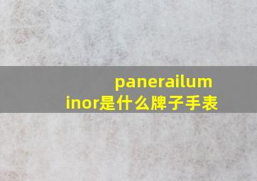 panerailuminor是什么牌子手表