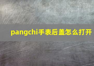 pangchi手表后盖怎么打开