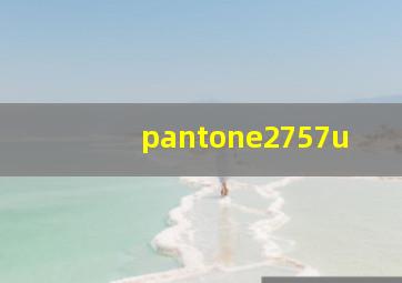 pantone2757u