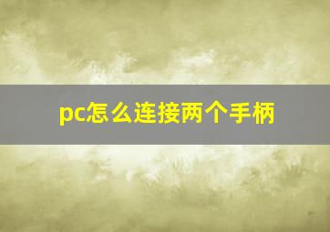 pc怎么连接两个手柄