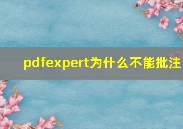 pdfexpert为什么不能批注