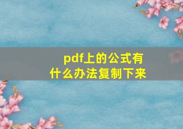 pdf上的公式有什么办法复制下来