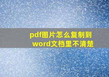 pdf图片怎么复制到word文档里不清楚