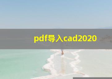 pdf导入cad2020