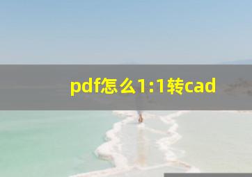 pdf怎么1:1转cad