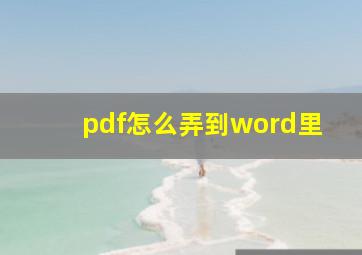 pdf怎么弄到word里