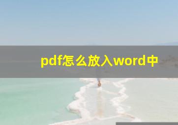 pdf怎么放入word中