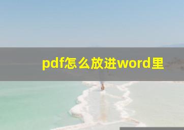 pdf怎么放进word里