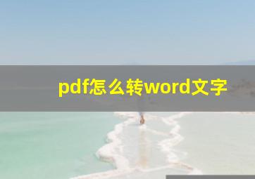 pdf怎么转word文字