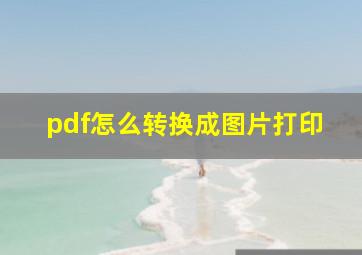 pdf怎么转换成图片打印