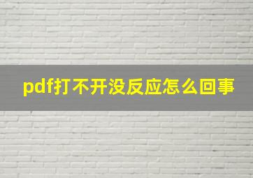 pdf打不开没反应怎么回事