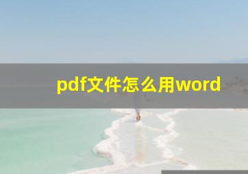 pdf文件怎么用word