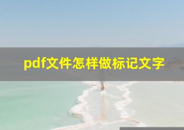 pdf文件怎样做标记文字