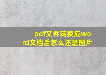 pdf文件转换成word文档后怎么还是图片