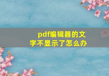 pdf编辑器的文字不显示了怎么办