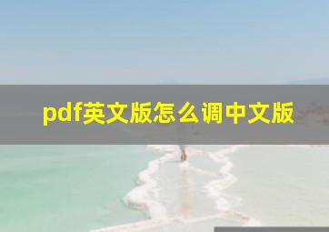 pdf英文版怎么调中文版