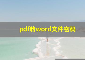 pdf转word文件密码