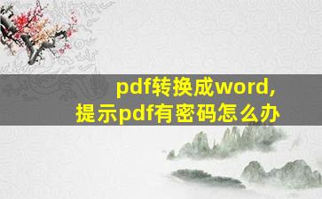 pdf转换成word,提示pdf有密码怎么办