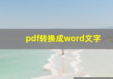 pdf转换成word文字