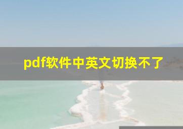 pdf软件中英文切换不了