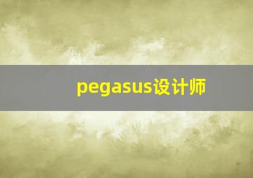 pegasus设计师