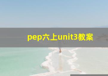 pep六上unit3教案