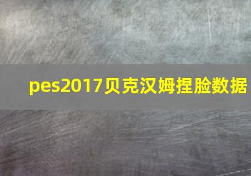 pes2017贝克汉姆捏脸数据