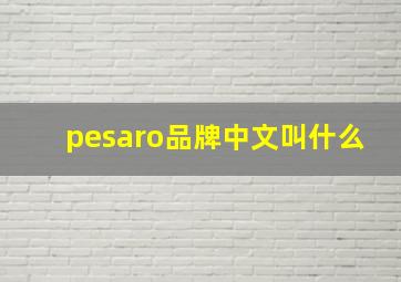 pesaro品牌中文叫什么