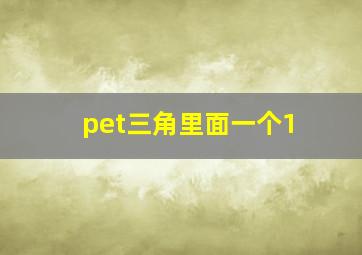 pet三角里面一个1