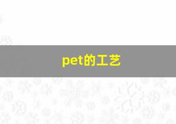 pet的工艺