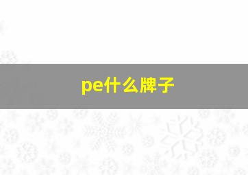 pe什么牌子