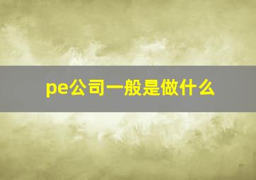 pe公司一般是做什么