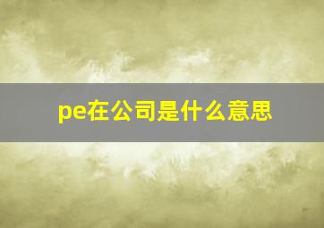 pe在公司是什么意思