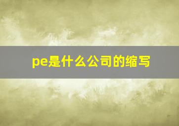 pe是什么公司的缩写