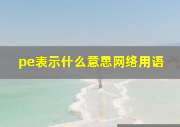 pe表示什么意思网络用语