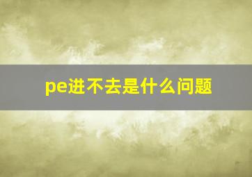 pe进不去是什么问题