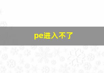 pe进入不了