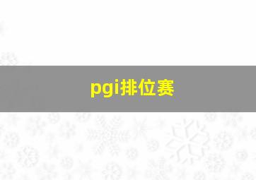 pgi排位赛