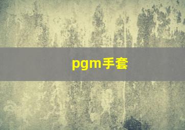 pgm手套