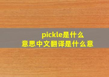 pickle是什么意思中文翻译是什么意