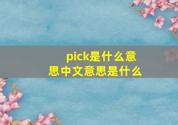 pick是什么意思中文意思是什么