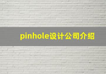 pinhole设计公司介绍