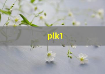 plk1