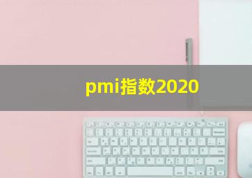 pmi指数2020