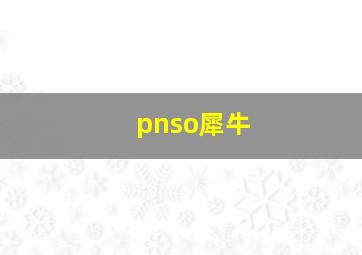 pnso犀牛