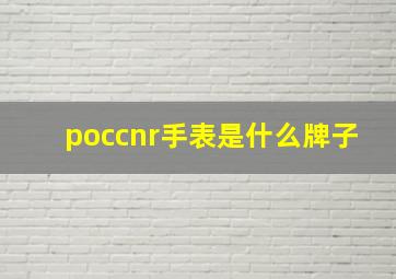 poccnr手表是什么牌子