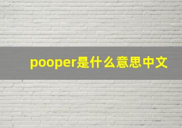 pooper是什么意思中文