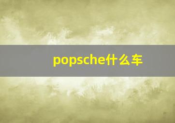 popsche什么车