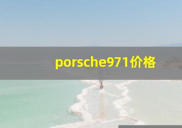 porsche971价格