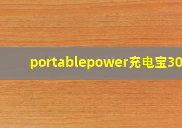 portablepower充电宝30元